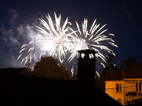 2018-05 Ermenonville Alain Z, détail sortie