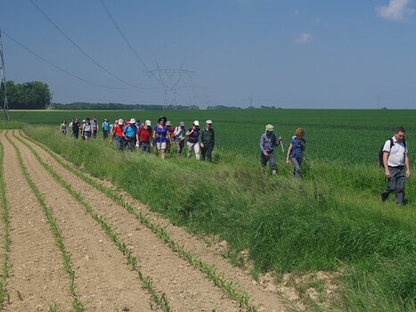 2018-05 Ferté-sous-Jouarre Olivier M, détail sortie