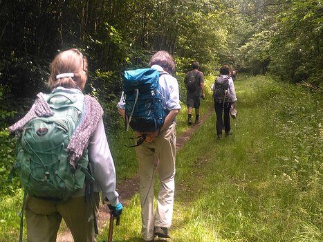 2018-05 Verneuil-l'Étang Hélène B, détail sortie