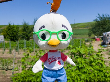 2018-06 Champagne Alain Z, détail sortie