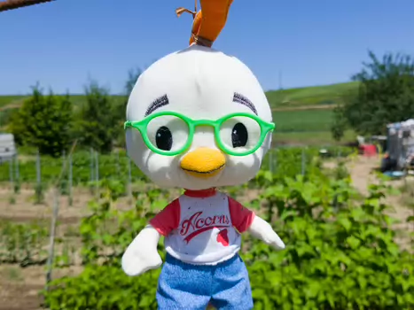 2018-06 Champagne Alain Z, détail sortie