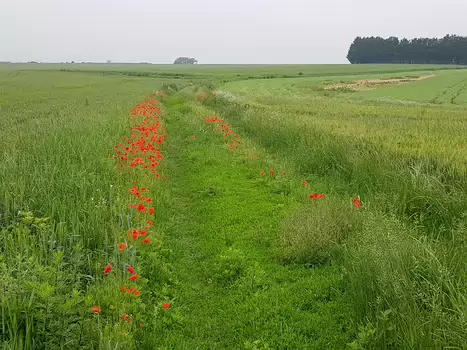 2018-06 Vexin Alain Z, détail sortie