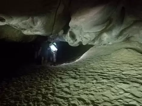 2018-07 Bourron - Nemours Emilie M, détail sortie