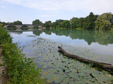 2018-07 Marne en boucle Dominique F, détail sortie