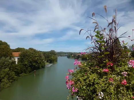 2018-08 Marne Dominique F, détail sortie