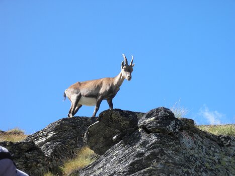 2018-08 Vanoise Valérie L, détail sortie