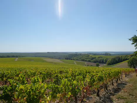 2018-10 Chablis Sébastien M, détail sortie