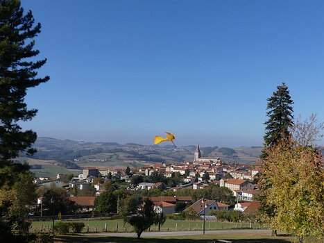 2018-10 Monts du Lyonnais Christian D, détail sortie