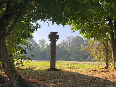 2018-10 Viosne Isabelle T, détail sortie