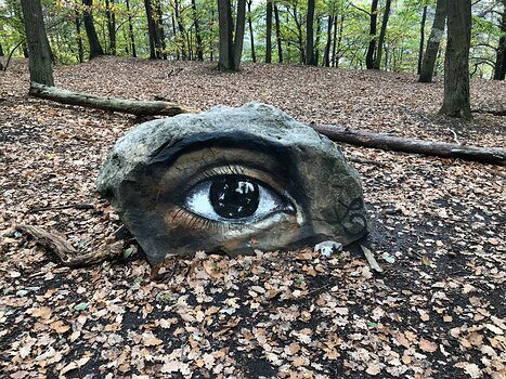 2018-11 Bois d'Arcy et Plaisir Isabelle T, détail sortie