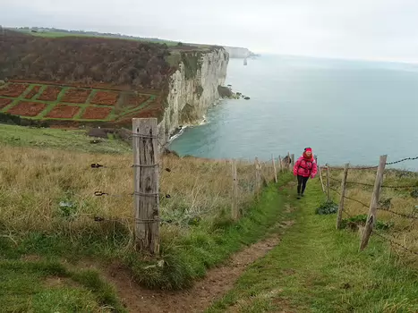 2018-11 Fécamp Claude L, détail sortie