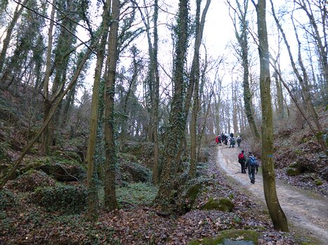 2018-12 Chamarande Dominique F, détail sortie
