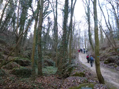 2018-12 Chamarande Dominique F, détail sortie