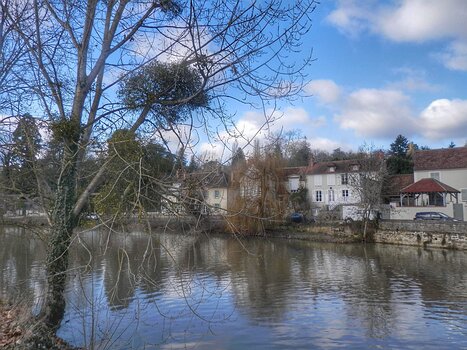 2019-02 Samois Hélène B, détail sortie