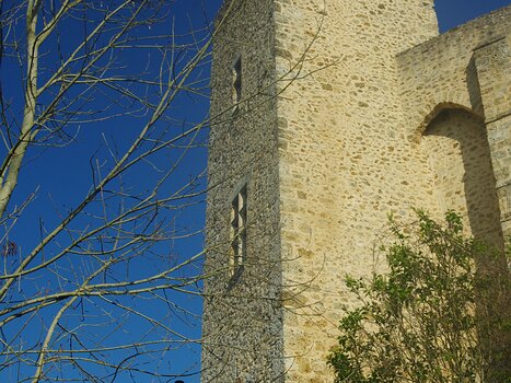 2019-03 Chevreuse Olivier M, détail sortie