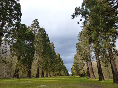 2019-03 Mennecy Dominique F, détail sortie