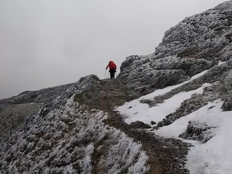 2019-05 Cantal Solène R, détail sortie