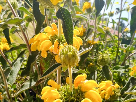 2019-05 Mont Ventoux Olga Z, Isabelle T, Xavier L, détail sortie