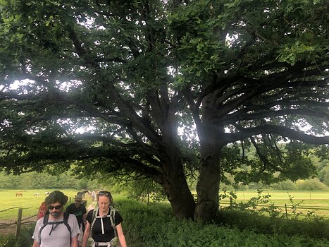 2019-05 Vallée de la Mérantaise