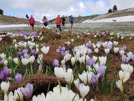 2019-05 Vercors Alain Z, détail sortie