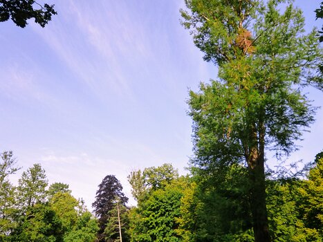 2019-06 Méry-sur-Oise Dominique F, détail sortie