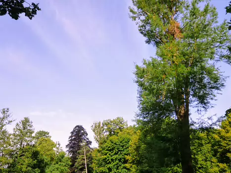2019-06 Méry-sur-Oise Dominique F, détail sortie