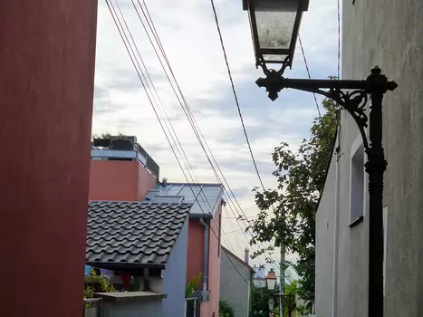 2019-08 Les Lilas et le Pré-St-Gervais Dominique F, détail sortie