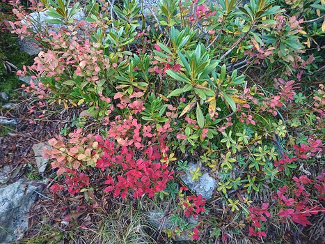 2019-09 Vallée des Merveilles