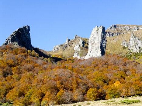 2019-10 Auvergne Isabelle R, Laurence O, Pascale L, Xavier L, détail sortie