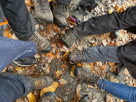 2019-11 Montmorency Karine R, détail sortie