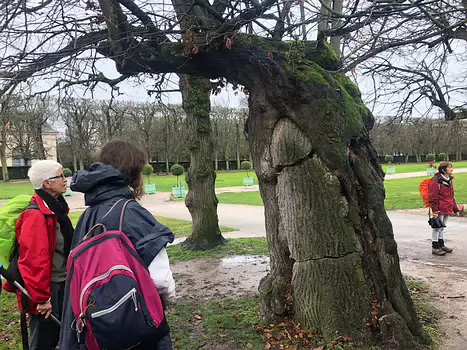 2019-11 Poterne des peupliers Isabelle T, détail sortie