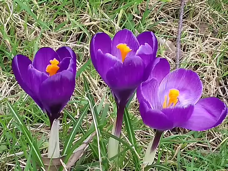 2020-02 La Promenade bleue Jocelyne D, Nicole T, détail sortie