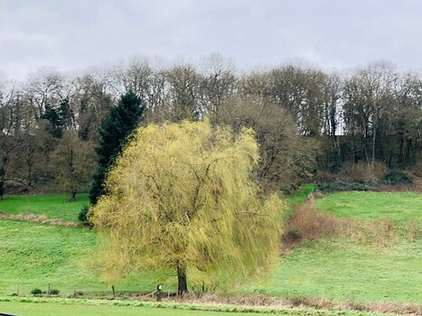 2020-02 Vernon Isabelle T, détail sortie