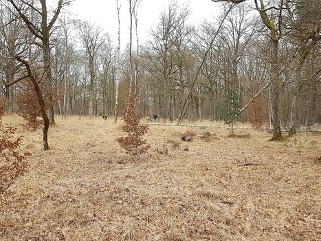 2020-03 Rambouillet Philippe D, détail sortie