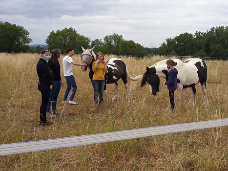 2020-06 Vexin Bernadette P, détail sortie