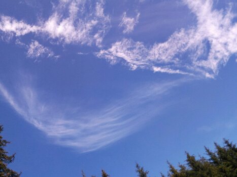 2020-07 GTJ Jura Hélène B, Danielle H, détail sortie