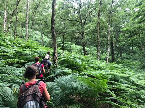 2020-07 Perray-en-Yvelines Isabelle T, détail sortie