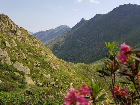 2020-07 Pyrénées centrales Nicole C, détail sortie