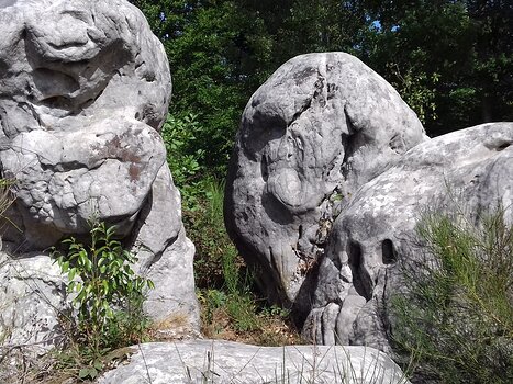 2020-08 Fontainebleau Jocelyne D, détail sortie