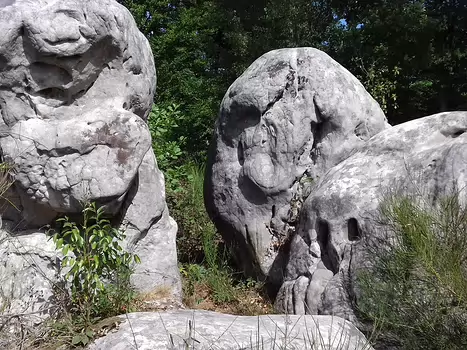 2020-08 Fontainebleau Jocelyne D, détail sortie