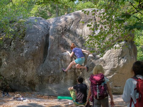 2020-09 Barbizon Sébastien M, détail sortie