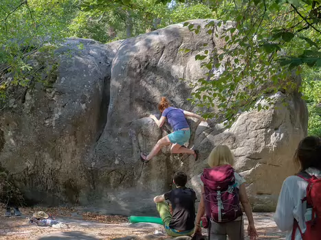 2020-09 Barbizon Sébastien M, détail sortie