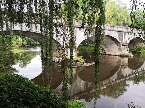 2020-09 Bourgogne Virginie B, Florence A, Régine B, Danielle H, détail sortie
