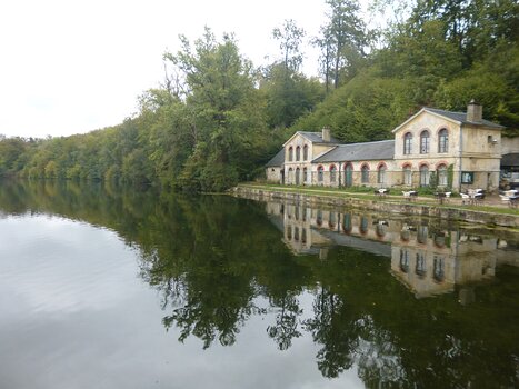 2020-09 Forêt de Coye Dominique F, détail sortie