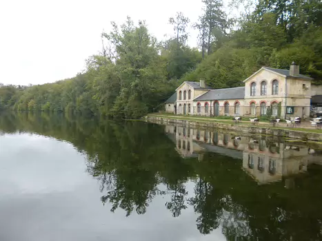 2020-09 Forêt de Coye Dominique F, détail sortie