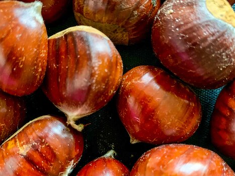 2020-10 Vallée de la Mérantaise Florence LP détail sortie