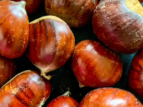 2020-10 Vallée de la Mérantaise Florence LP détail sortie