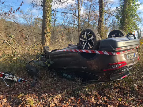 2020-12 Fontainebleau Isabelle T, détail sortie