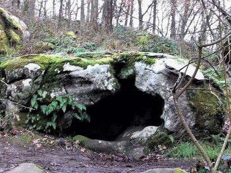 2021-01 Etrechy Jocelyne‌ D, détail sortie