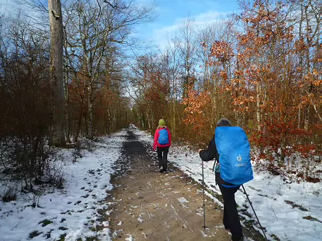 2021-01 Fontainebleau Bernadette P, détail sortie